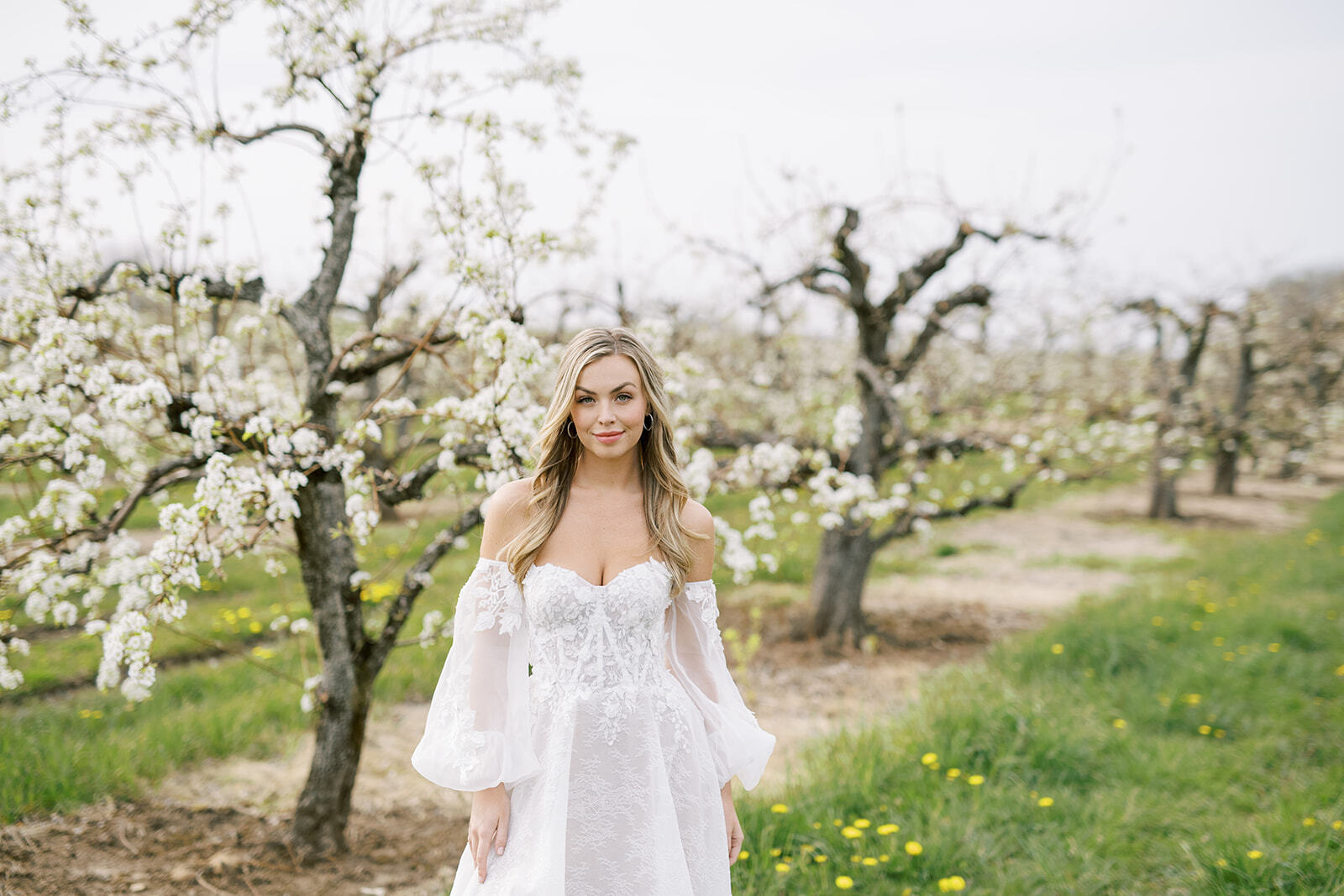 Cherry Blossom Spring Bridal Shoot. Desktop Image