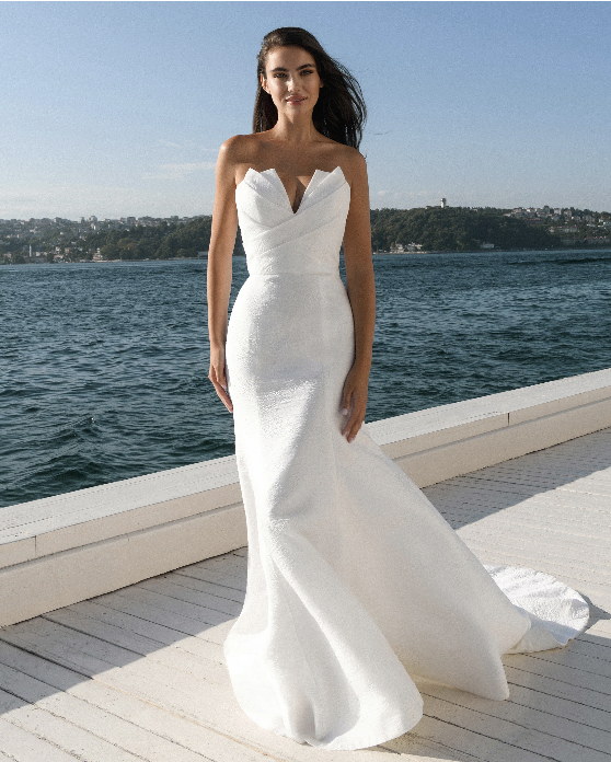 Antonio Gual Spotlight Event
