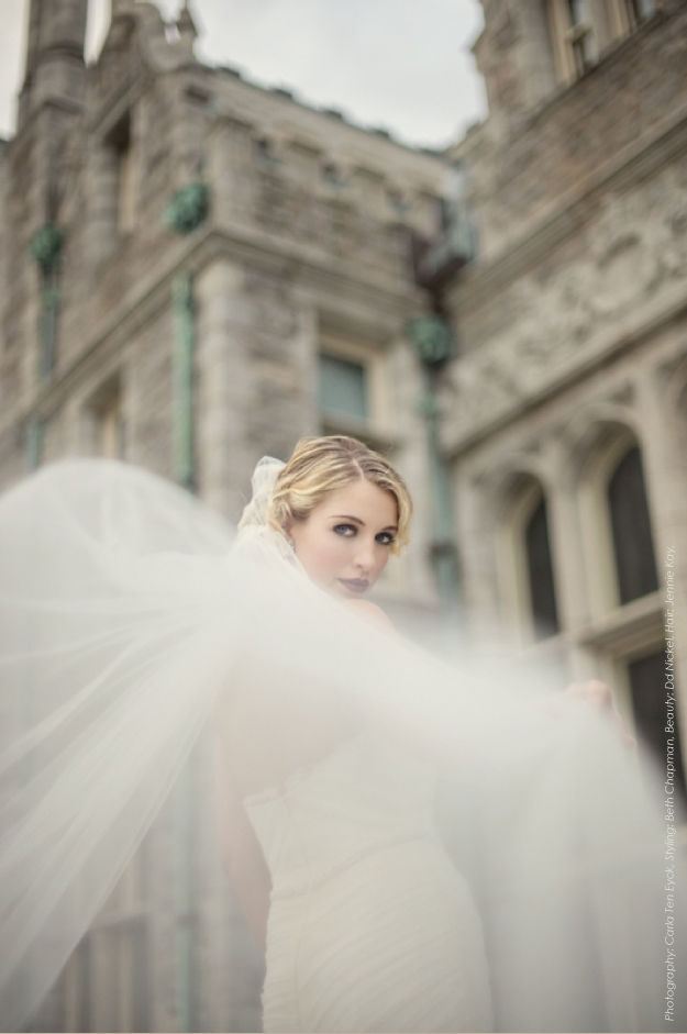 Frequently Asked Questions: Veils. Desktop Image