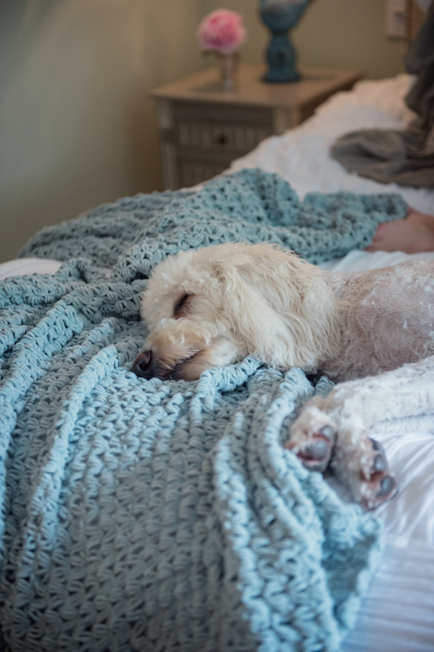 CHAPMAN_SMP_LIVING_C10-284-Edit