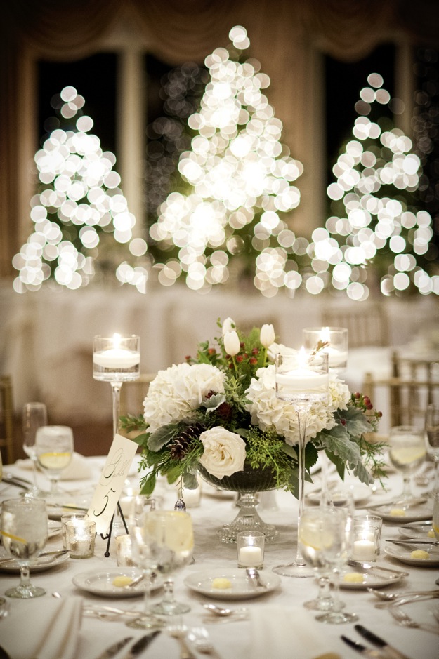 View More: http://snapweddings.pass.us/1Lx7y133118