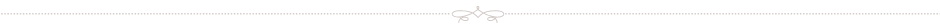 pagedivider_rule