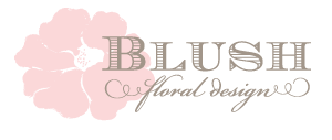 logo_s1
