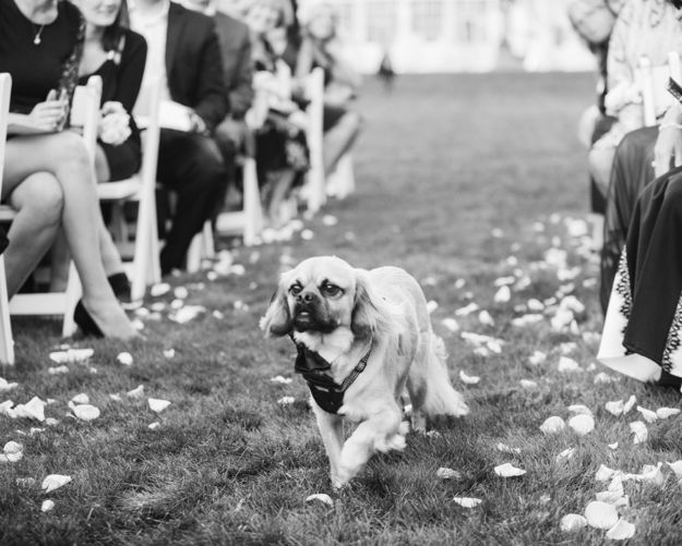 View More: http://justinandmary.pass.us/kaylabrendonwedding