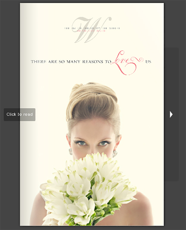 The White Dress By The Shore Image 15