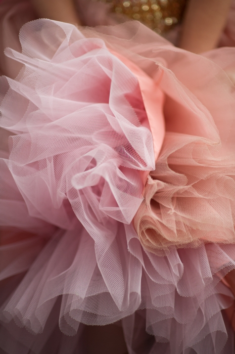 Picture of the Week. Desktop Image