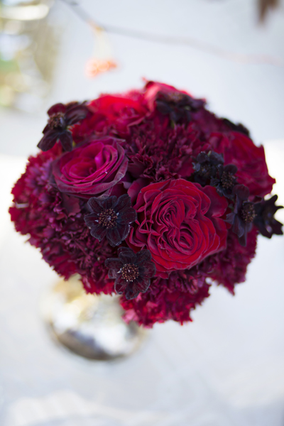 fall-chanler-shoot-adeline-and-grace-photography-3