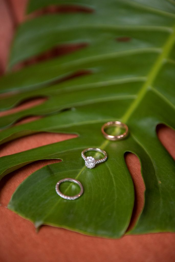 Shannon's Touch of Tropical Wedding