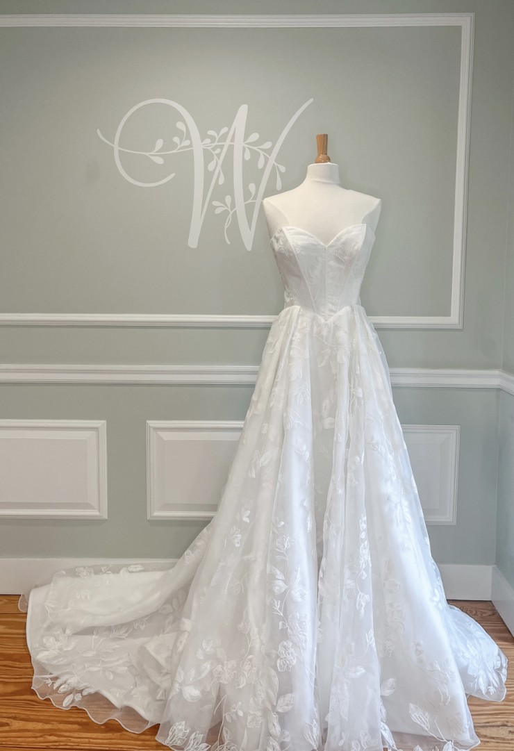 Kelly Faetanini Noor Image