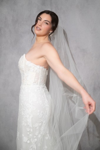 Weilu Fresolone Symphony Custom $2 thumbnail