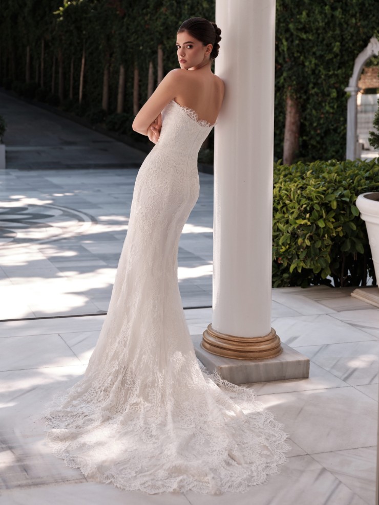 Antonio Gual Alfie #1 picture