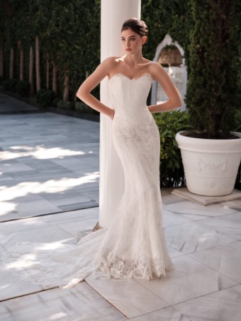 Antonio Gual Alfie $0 default thumbnail