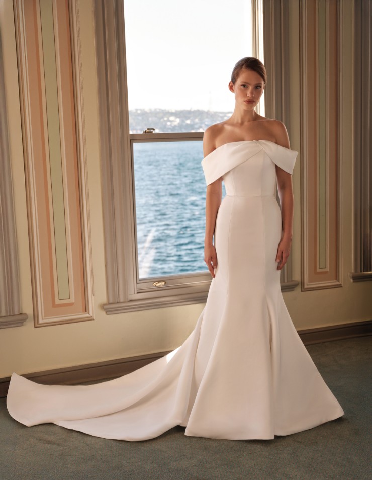 Antonio Gual Dylan Image