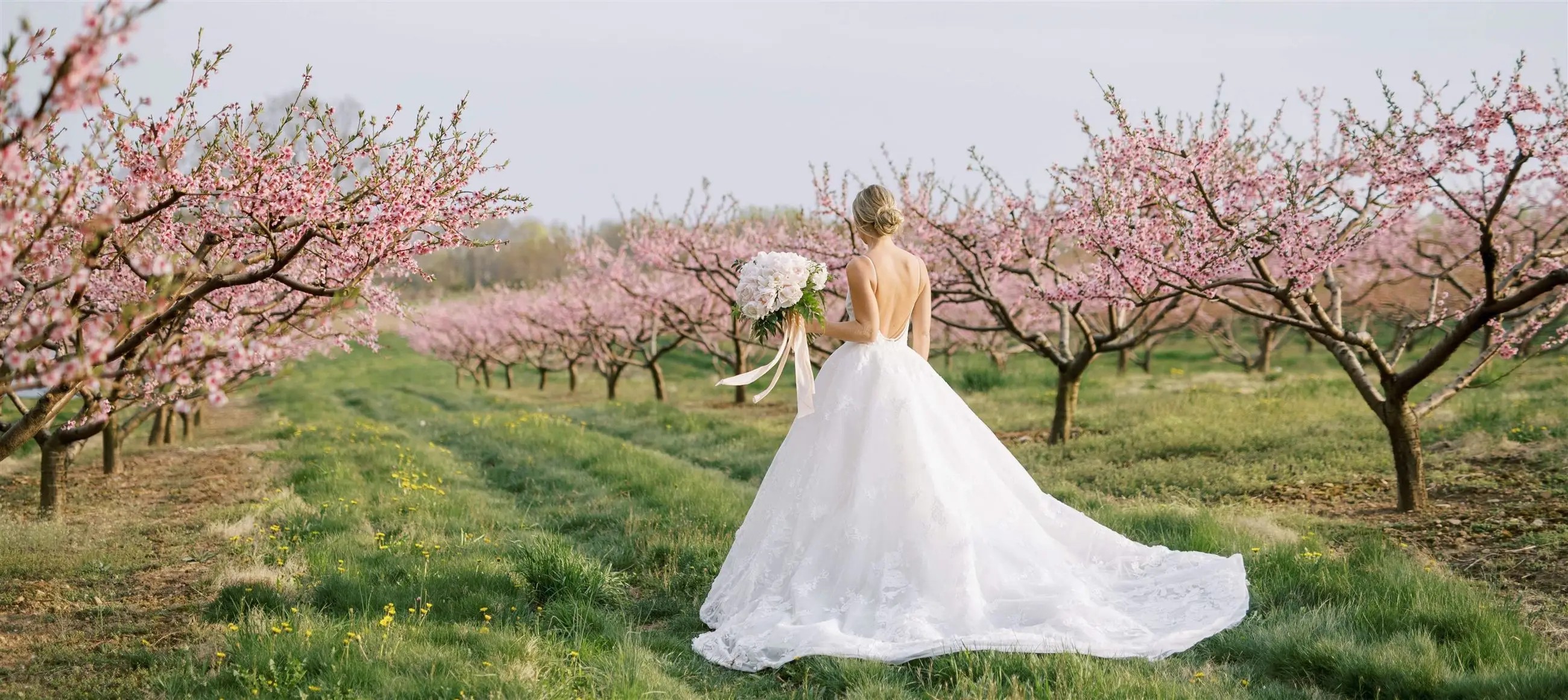 White dress by the shore wedding dresses