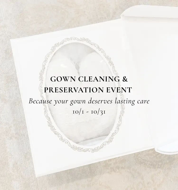 Cleaning and preservation event at White Dress by the Shore